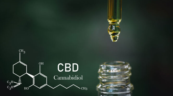 CBD Oil