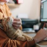 Woman stroking a ginger cat while sitting on her desk with a computer